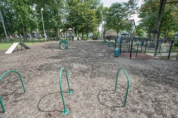 Bark park