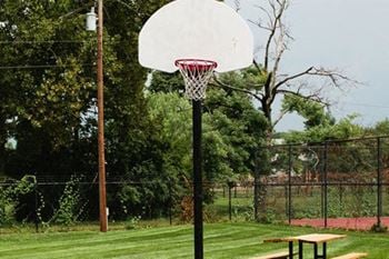 Basketball court