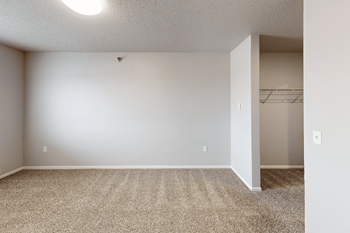 Plush carpeting