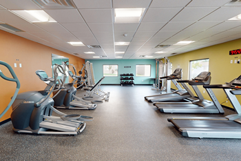 Professional fitness center