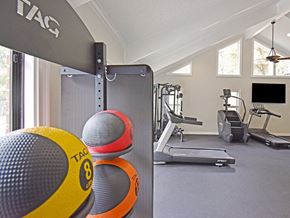 Little Rock apartment for rent - apartment fitness center with a TRAG wall mounted pull up bar