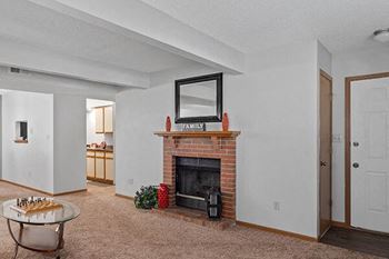 Wood burning fireplace