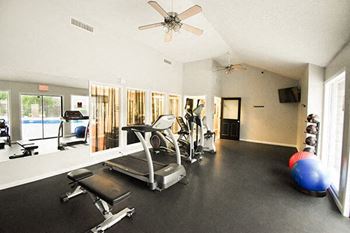 Professional fitness center