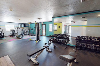 Free weights