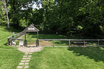 Dog park