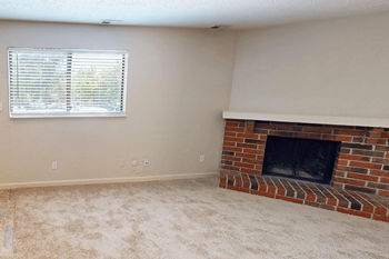 Wood burning fireplace