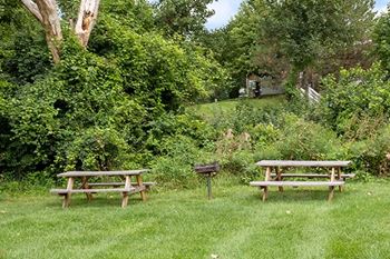 Bbq/picnic area