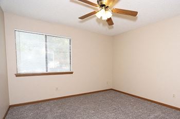 Ceiling fans