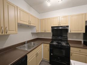 New Bern apartment for rent - A kitchen with a black oven and brown countertops.