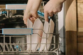 Dishwasher & garbage disposal