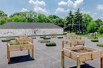 Community garden