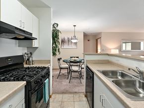 Waukegan apartment for rent - Apartment Kitchen with Gas Range and Dishwasher