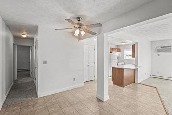 Ceiling fan (select homes)