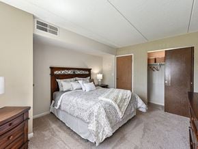 Waukegan apartment for rent - Spacious Bedroom with Closet