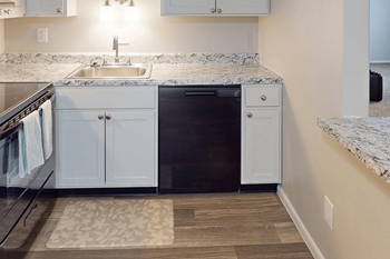 Dishwasher