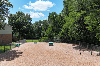 Dog park
