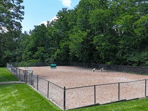 Fenton apartment for rent - A dog park agility course surrounded by a fence and trees.
