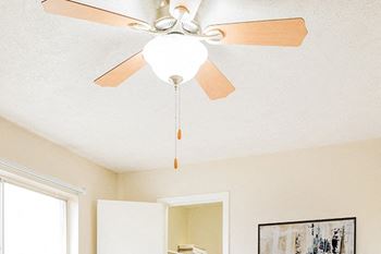 Ceiling fan(s)