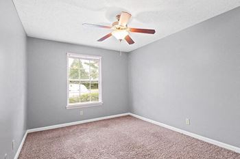Ceiling fan