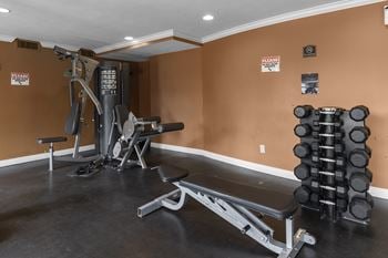 Free weights