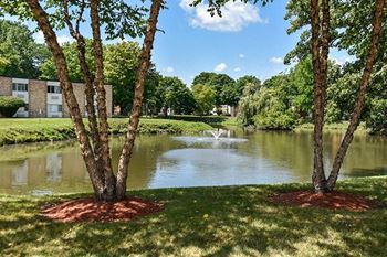 Private pond view