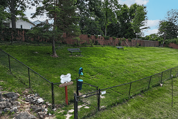 Dog park