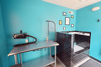 Dog wash station