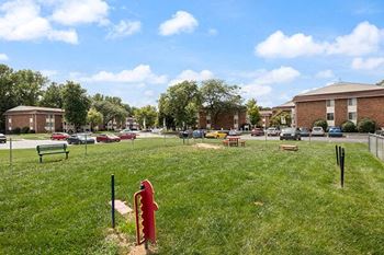 Dog park