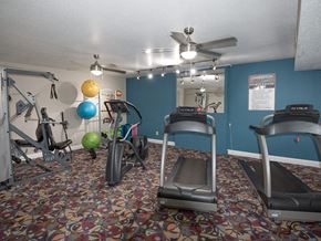 Grand Rapids apartment for rent - a gym with exercise equipment and a ceiling fan