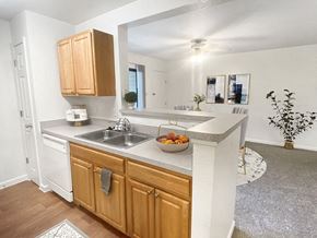 Haslett apartment for rent - a kitchen with a counter top and a sink