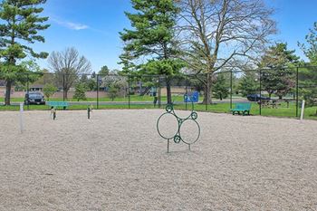 Pet park
