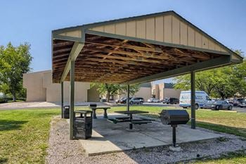 Picnic area with barbecue