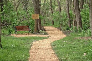 Nature trail