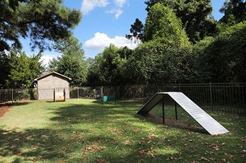 Large pet park