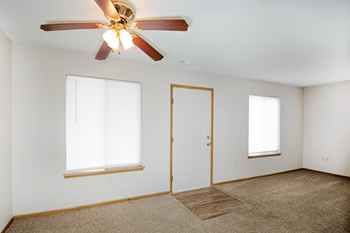 Ceiling fan