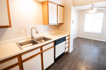 Double basin sink with disposal