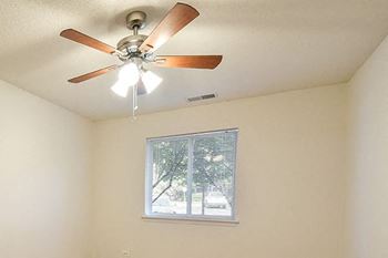Ceiling fan
