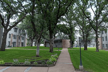 Mature trees throughout