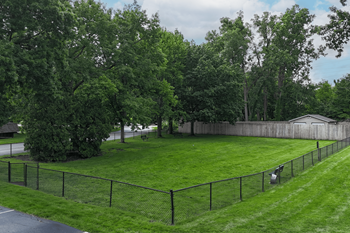 Dog park