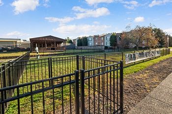Dog park