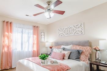 Ceiling fan(s)