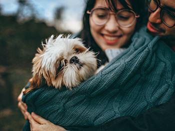 Pet friendly community