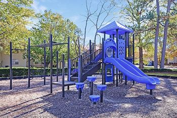 Large, vibrant playground