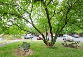 Picnic and serenity areas