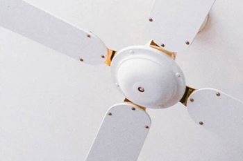 Ceiling fan