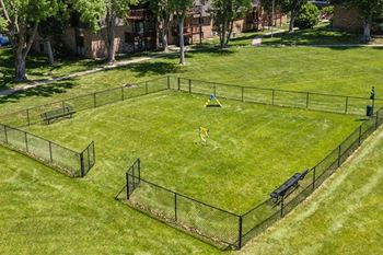 Bark park