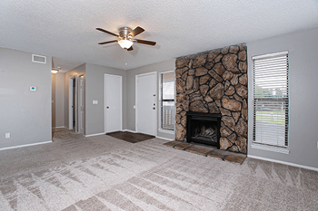 Wood-burning fireplaces*