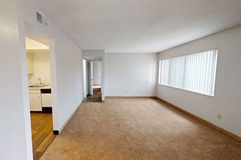 Carpeting