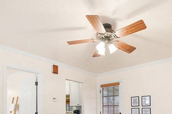 Ceiling fan(s)