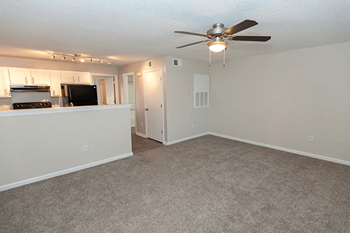 Plush carpeting